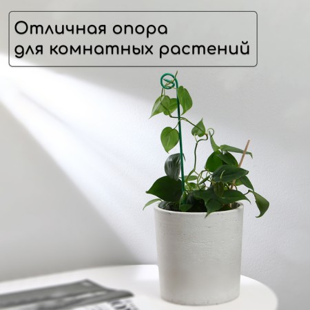Pegs for garter plants, h = 40 cm, d = 0.3 cm, wire, green, greengo-1
