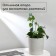 Pegs for garter plants, h = 40 cm, d = 0.3 cm, wire, green, greengo