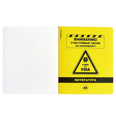 Subject notebook, 48 sheets, ruler, literature, Erichkrause "BENFORMED", plastic cover silk-screen cover, Bloc OFSET BELICE 100%, information block-2