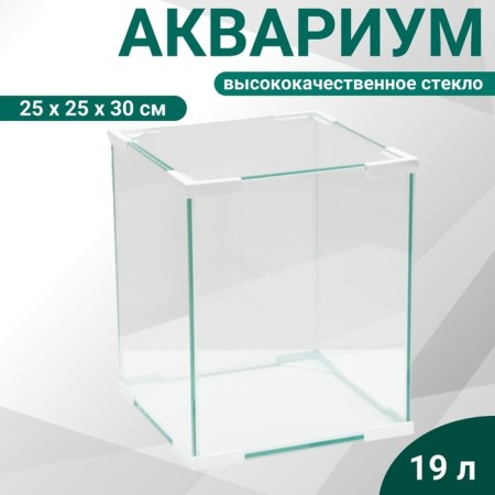 Aquarium "Cube", cover glass, 19 liters, 25 x 25 x 30 cm, white corners