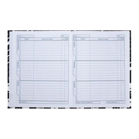 Universal diary for grades 1-11 Smiley, hard cover, matte lamination, selective UV-fluid, 40 sheets-7