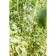 Pegs for garter plants, h = 120 cm, d = 1.6 cm, plastic