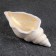 Figure pot "Shell" gilding, 13x6x3cm