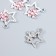 Decor for creativity metal, rhinestones "Star with a flower" silver 2x1.8 cm