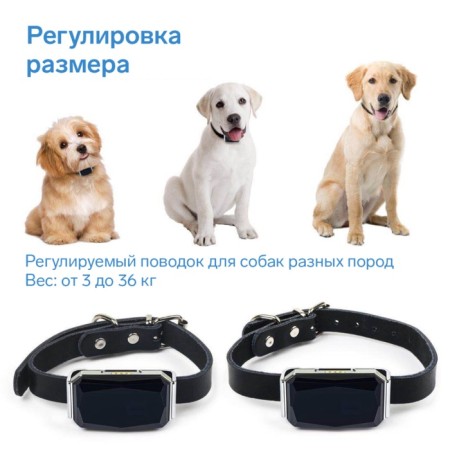 GPS AK32 animals tracker, with a collar, accuracy up to 10 m, battery 500 mAh, silver-2