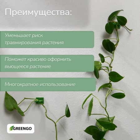 Fasteners for climbing plants, d = 15 mm, color mix, Greengo-1