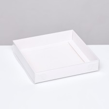 Box the team, white with PVC lid, 16 x 16 x 3 cm