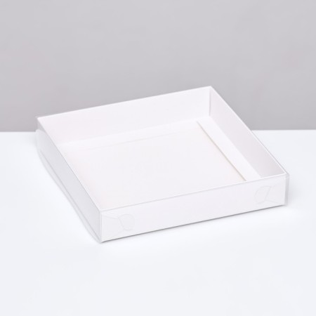 Box the team, white with PVC lid, 16 x 16 x 3 cm