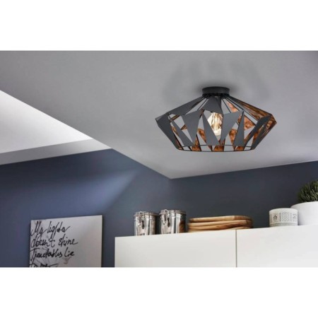 CARLTON 1x60W Ceiling Lumina-1