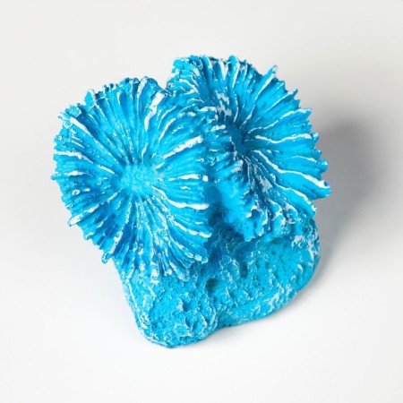 Interior souvenir "Coral" 11x9x9cm-5