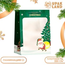 Laminated package, with the New Year window, 25 x 18 x 13 cm, green