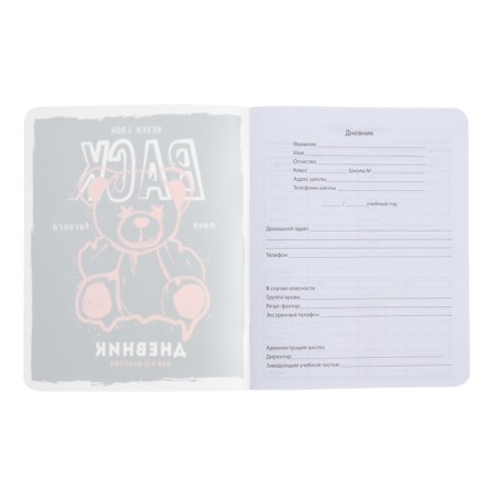 Universal Diary Grade 1-11, 48 sheets "Fashion Bear", Color Print, Block 65 g/m2-3