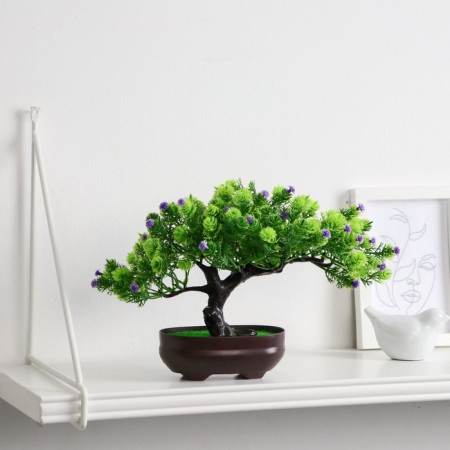 Bonsai in the pot "Werelp tree" 12x17 cm, mix-4