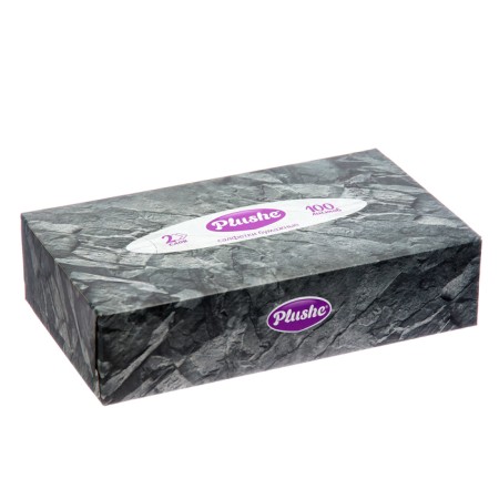 Paper napkins in Plushe box, 2 layers, 100 sheets-1