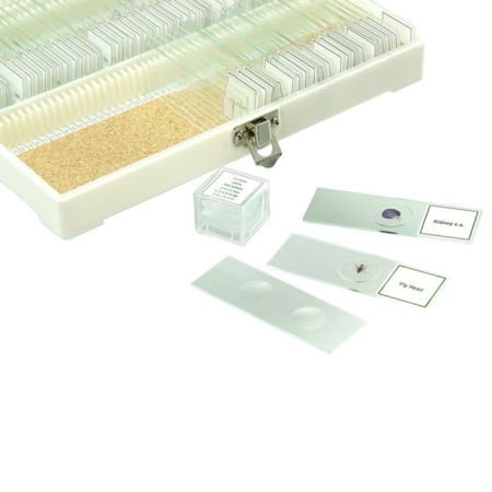 A set of ready -made micropreparations Mikromed No. 80-1
