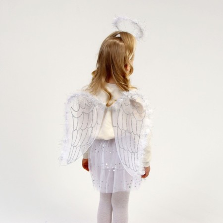 Carnival set "Angel", skirt, wings, rim-2