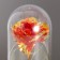 Nightlight "Flower" LED 3XAG10 red 8.5x8.5x15.5 cm