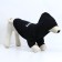 SECURITY sweatshirt for dogs (foot), size M (DS 26, Osh 36-38, OG 46-50), black