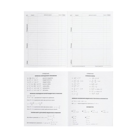 Universal diary for grade 1-11 "Map of Russia", solid cover, artificial leather, silkography, lies, tinted block, 48 sheets-6