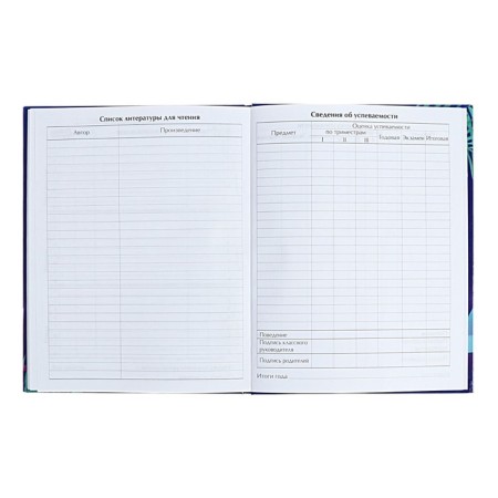 Diary for grades 5-11 "Modern wyb. Be cooler!", Firm cover, glossy lamination, 48 sheets-7