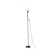 Floor lamp with a switch on the wire Ambrella Light, Floor, TR97618, E27, Black Color