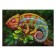 Puzzle "Chameleon", 1000 elements
