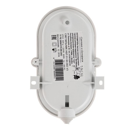 Lamp NBP 01-60-002 UK, E27, 60 W, 230 V, IP53, with a lattice, white-3