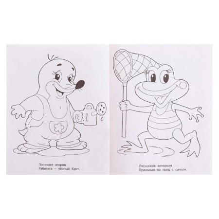 Coloring for babies "raccoon"-3