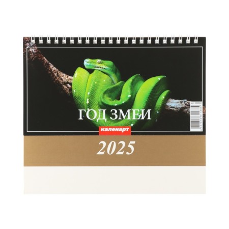 Календарь настольный, домик "Символ года - 2" 2025, 14 х 20 см-2