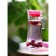 A jug with a lid Lav Truva, glass, 1.4 l