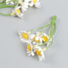 Flowers for decorating 
