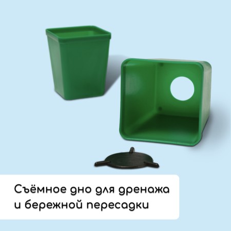 Set for seedlings: glasses of 600 ml (8 pcs), pan 36 × 18 cm, color mix, Greengo-3