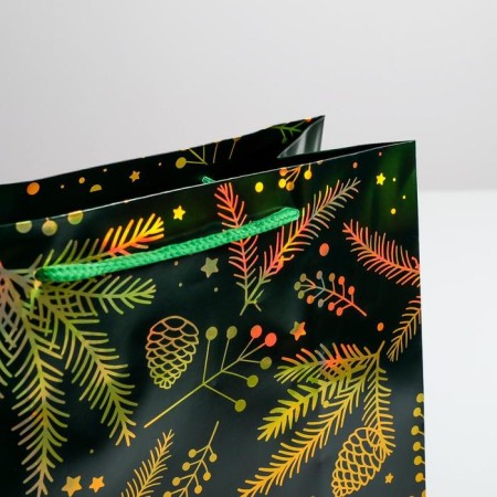Packet Hologography Vertical “Bumps”, Ml 23 x 27 x 11.5 cm, New Year-2