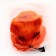 Carnival set "tail" fox, orange color