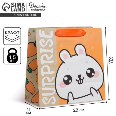 Square gift package package, packaging, “SUPRISE”, 22 x 22 x 11 cm
