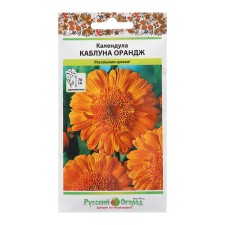 Flower seeds of the calendula 