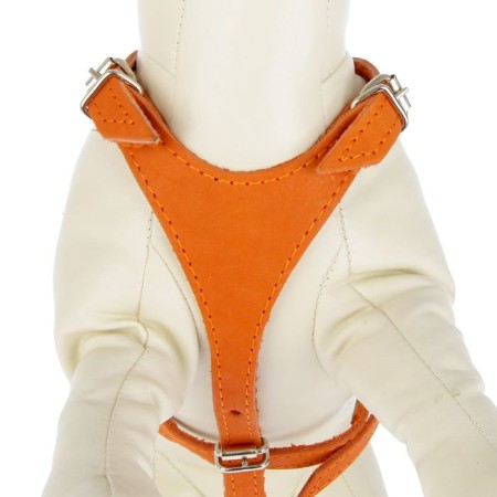 Leather slide for dogs Malaya Zononic, Osh 14-27 cm, fire 25-36 cm, width 1.5 cm, mix-1