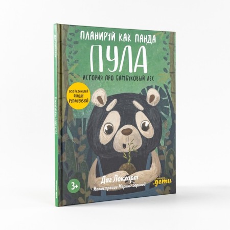 Plan a panda pool. History about the bamboo forest. Lokhart D.-1