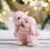 Figure soap "Bunny Friendship" Beige, 3x7x7cm