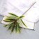 Flowers artificial "Palma homemade luxury" 55 cm, light green