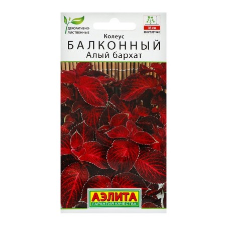 Flower seeds Oki balcony "Scarlet velvet", c/n, 5 pcs
