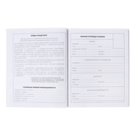 Diary for grades 5-11, hard cover, "cute and funny", glossy lamination, block 60g/m2-4