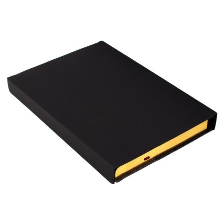 Diary Semi -dated A5, 208 PROFY sheets, reclaid leather, replaced block, gold cut, black-20
