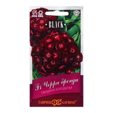 Cloves "Cherry Brandy", F1, 4 pcs.