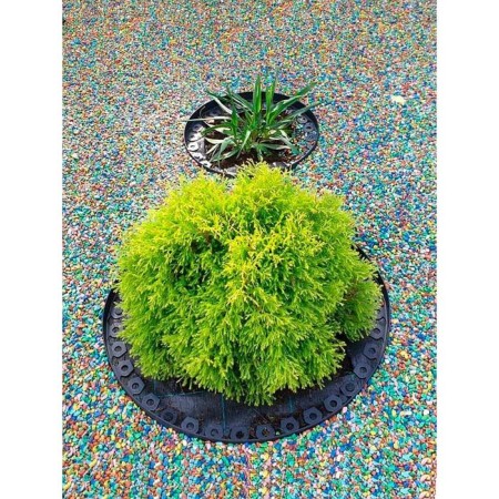 Garden plastic curb, 38 mm, black, 10 m + 30 stakes, "mango-9