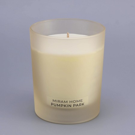 Aromatic candle in the glass "Pumpkin Park", pumpkin in caramel, 200 g-3