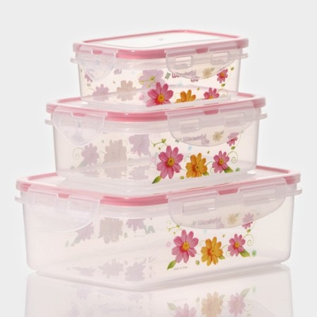 A set of lunch boxes of plastic rectangular "Polyanka", 3 pcs: 150 ml, 300 ml, 500 ml, color mix