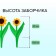 Decorative fence, 32.5 × 225 cm, 5 sections, plastic, yellow flower "Chamomile"