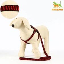 Acunition set of embossed, leash 120 x 1.5 cm, OG 36-49 cm, red-black