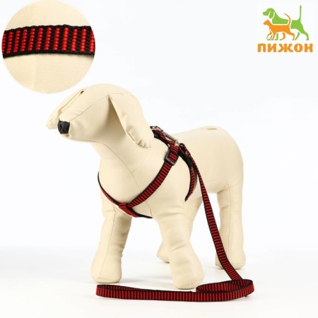 Acunition set of embossed, leash 120 x 1.5 cm, OG 36-49 cm, red-black